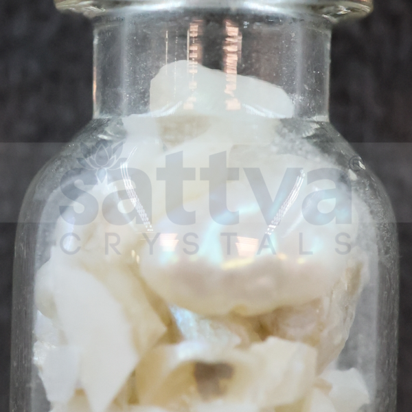 Akoya Pearl Chips in Bottle Pendant (Only Pendant Included) - Image 3
