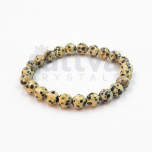 Dalmatian Jasper appx.-8mm D-Cut Bracelet