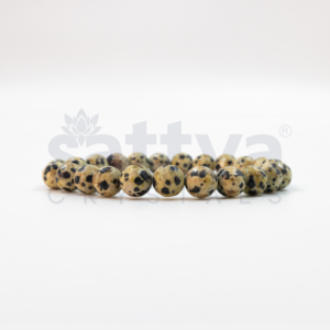 Dalmatian Jasper appx.-8mm D-Cut Bracelet