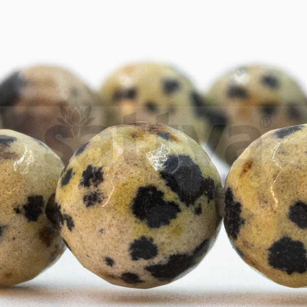 Dalmatian Jasper appx.-8mm D-Cut Bracelet - Image 3