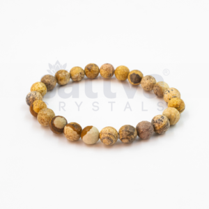 Picture Jasper appx.-8mm D-Cut Bracelet