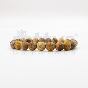 Picture Jasper appx.-8mm D-Cut Bracelet