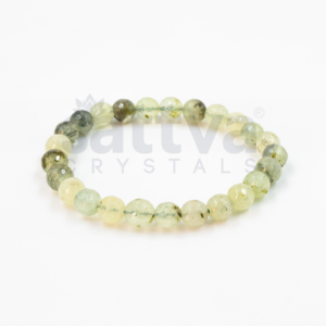 Prehnite appx.-8mm D-Cut Bracelet