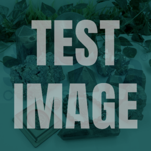 A1-Test IMG